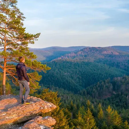 Budget At Harbor By Kuhnle-tours דירה Niderviller
