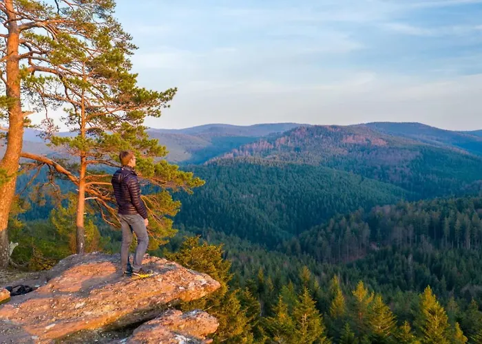 Budget At Marina By Kuhnle-tours Apartment Niderviller